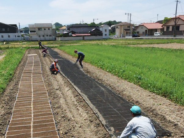 くさふじ米作業