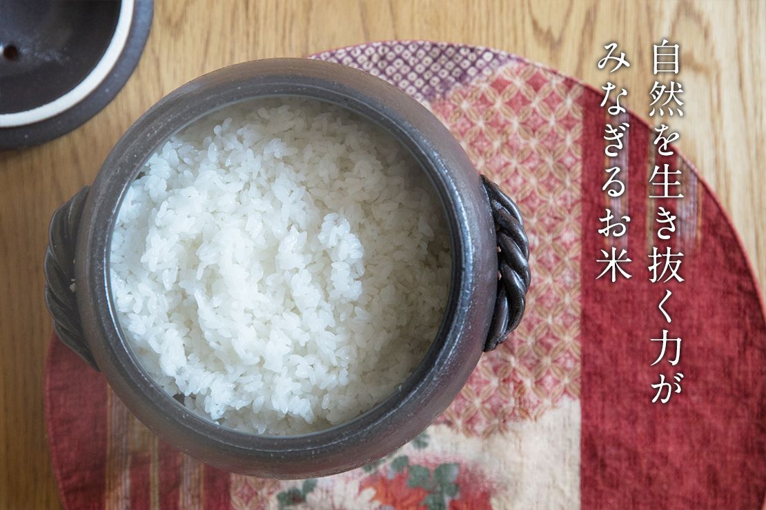 自然を生き抜く力がみなぎるお米