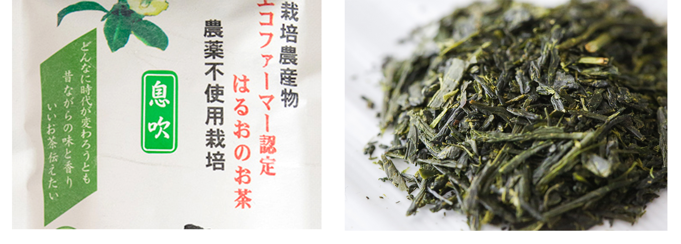 https://gelato-naturale.com/wp-content/uploads/2018/05/ibuki-gazou1-2262x811.jpg