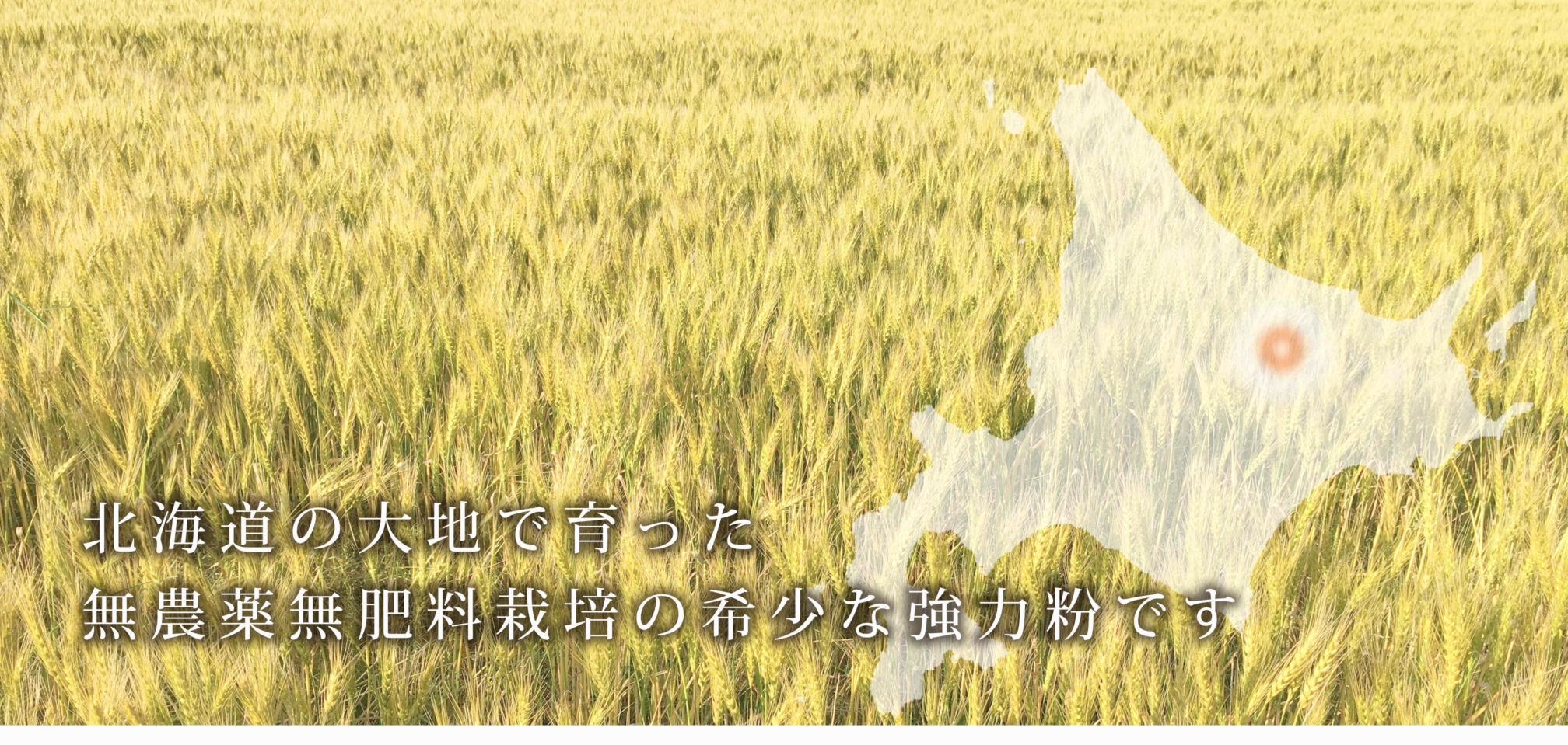 https://gelato-naturale.com/wp-content/uploads/2018/05/kyouriki-gazou1-3-2016x959.jpg