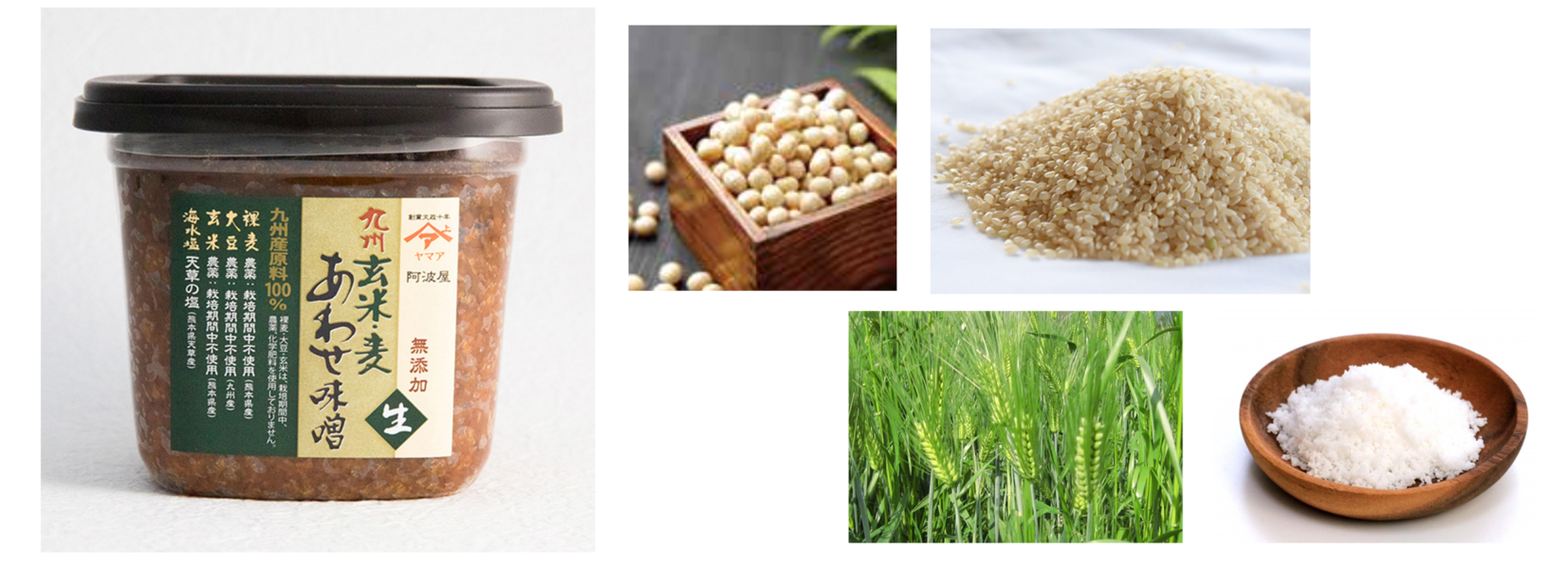 https://gelato-naturale.com/wp-content/uploads/2018/05/miso2-1653x596.jpg