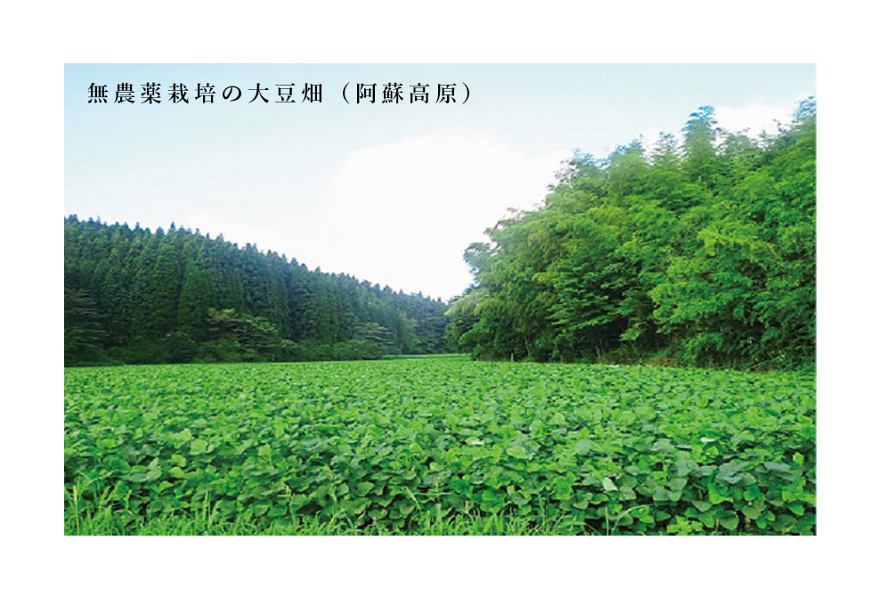 https://gelato-naturale.com/wp-content/uploads/2018/05/misohatake2-986x671.jpg