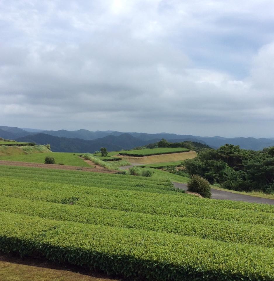 https://gelato-naturale.com/wp-content/uploads/2018/05/taiju-gazou2-938x960.jpg
