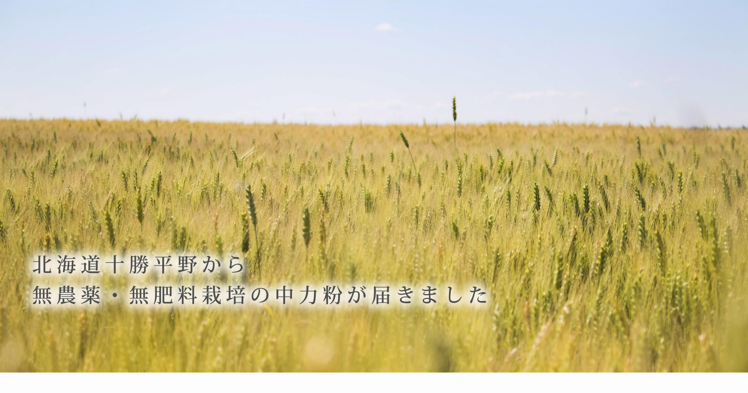 https://gelato-naturale.com/wp-content/uploads/2018/05/tokachiheiya2-2592x1363.jpg