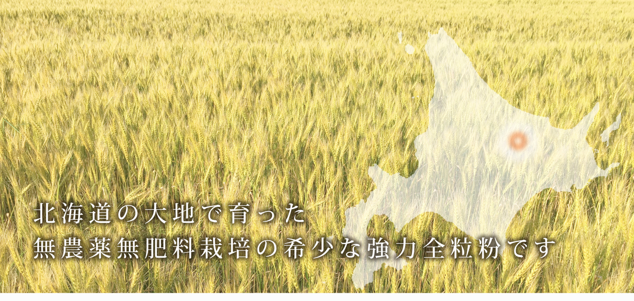 https://gelato-naturale.com/wp-content/uploads/2018/05/zenryu-gazou2-2016x959.jpg