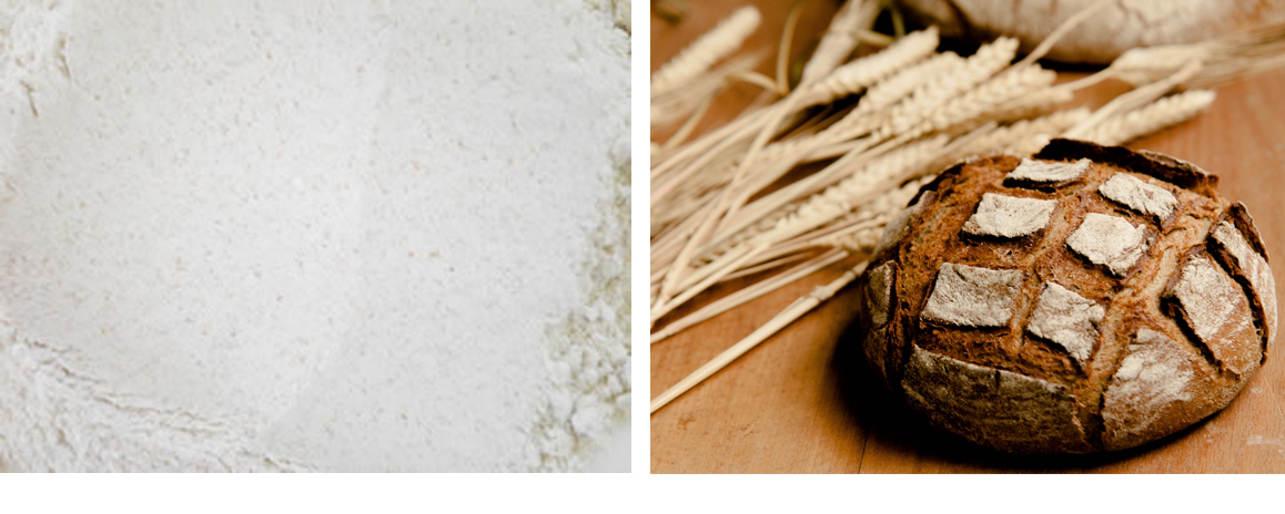https://gelato-naturale.com/wp-content/uploads/2018/05/zenryugazou3-2-1158x464.jpg