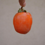 完熟渋柿のジェラート
