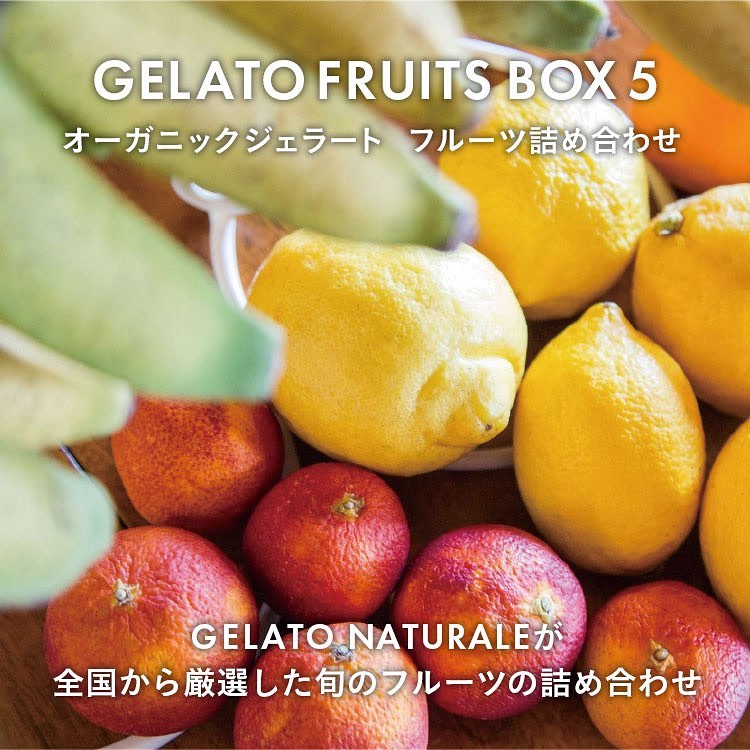 GELATO FRUITS BOX